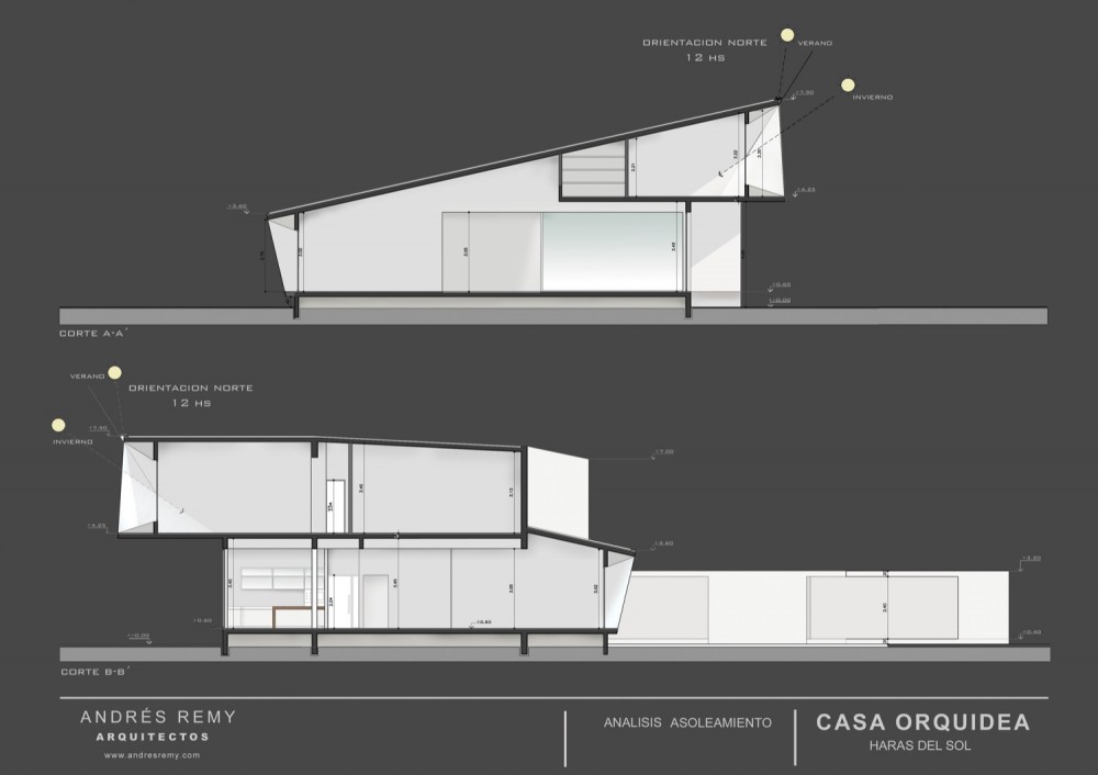 Orchid House / Andres Remy Arquitectos