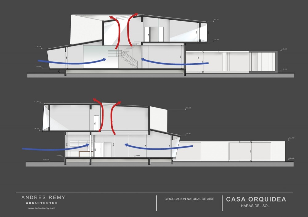 Orchid House / Andres Remy Arquitectos